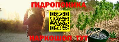 стафф Гусев