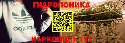 стафф Гусев