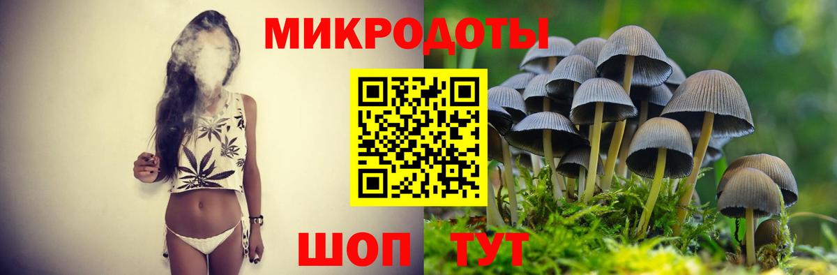 Псилоцибиновые грибы Psilocybe Новочебоксарск